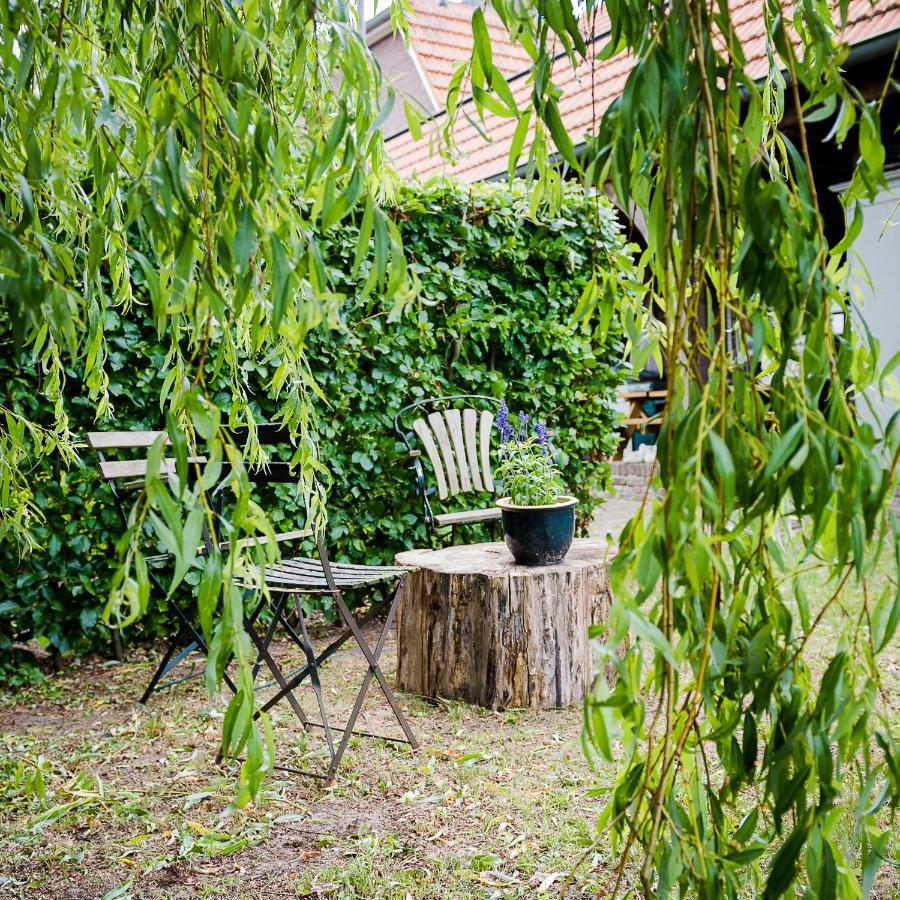 Bed and Breakfast Aan De Molenberg à Broekhuizen  Extérieur photo